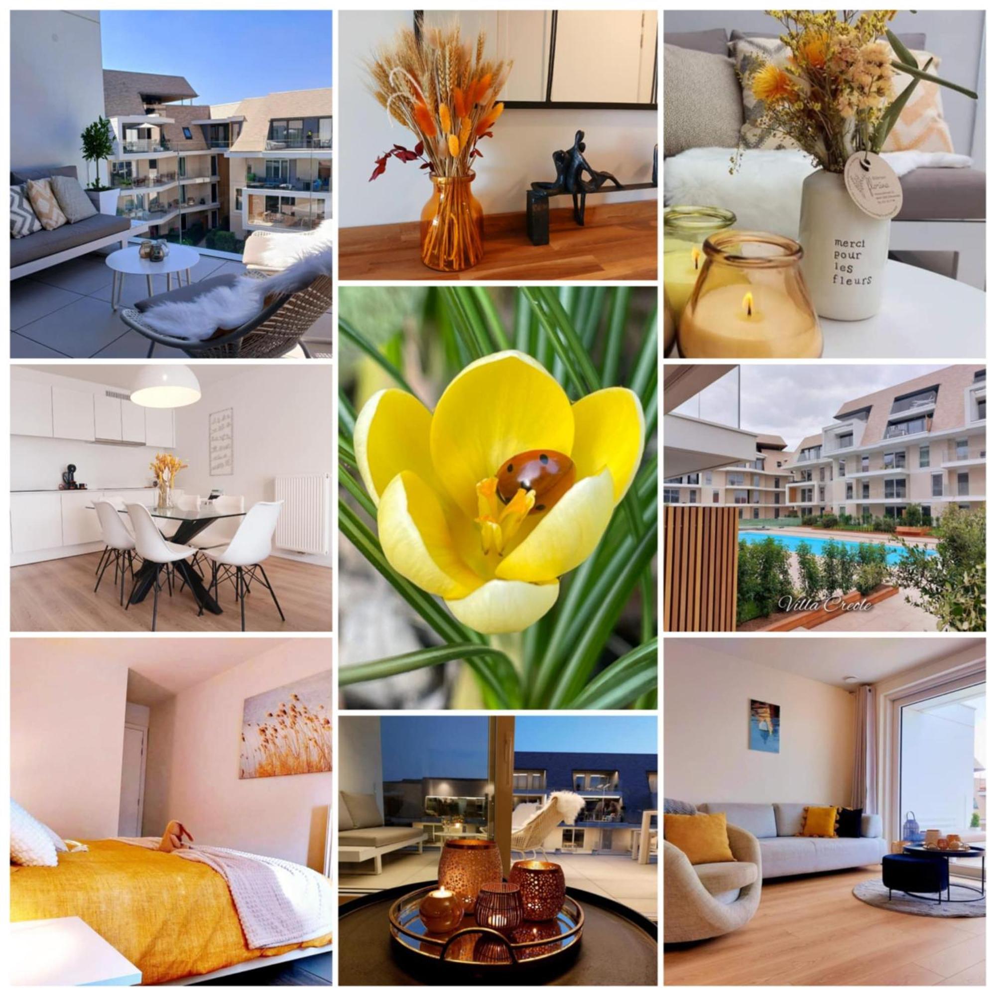 Villa Creole 0308 Luxe Appartement Met Verwarmd Zwembad Nieuwpoort Jachthaven エクステリア 写真